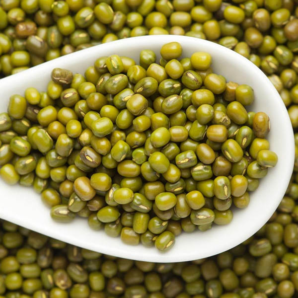 Green Moong Suppliers