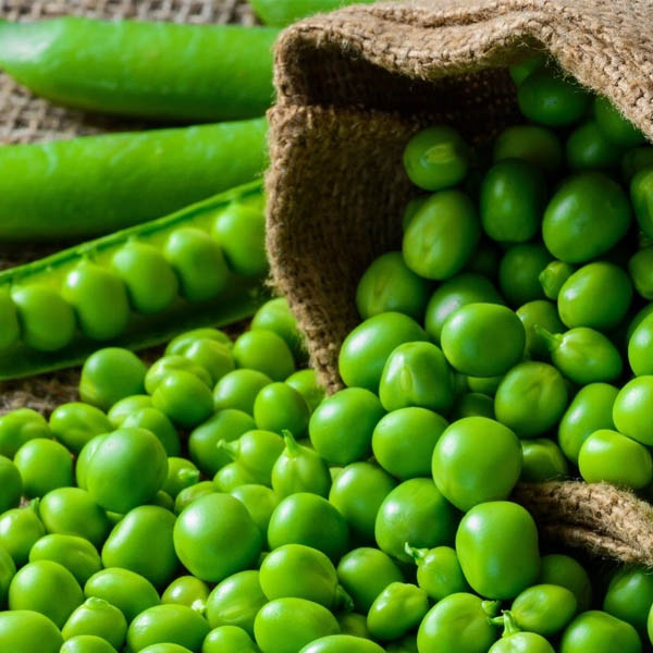 Green Peas Suppliers